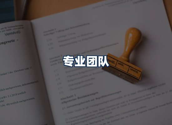 专业团队